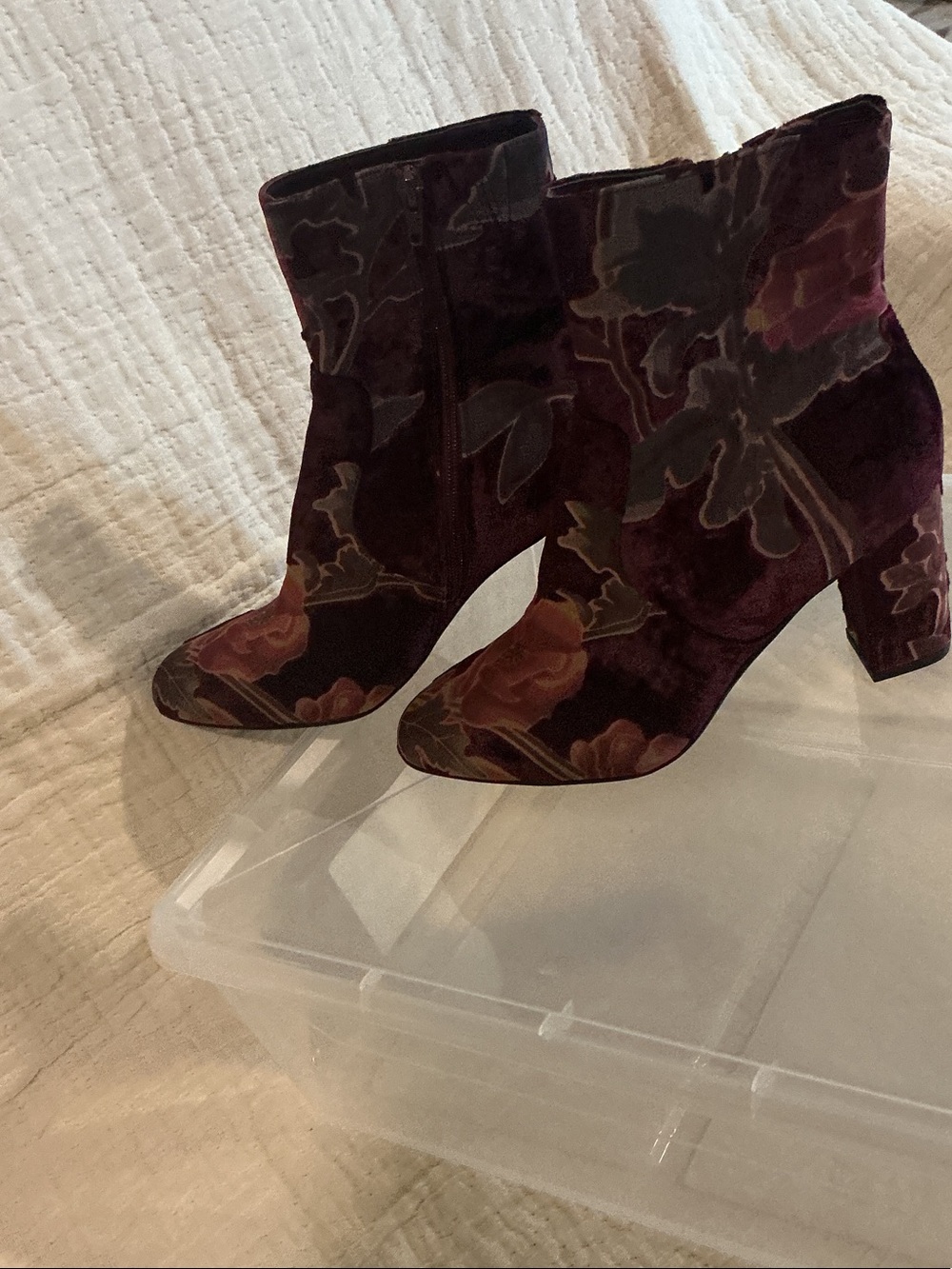 New Steve Madden Burgundy Velvet Floral Ankle Boot